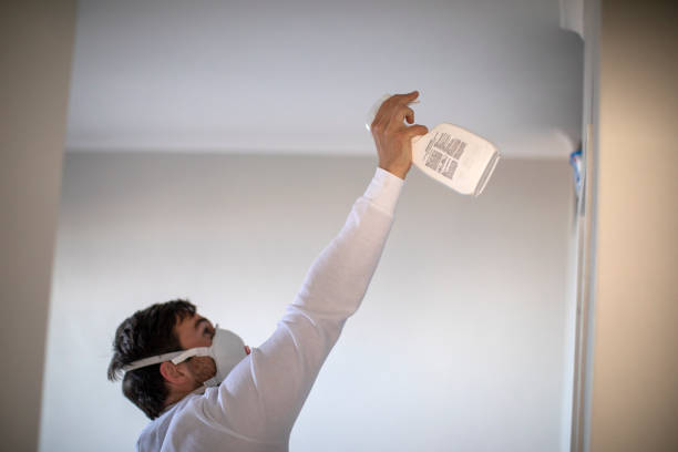 Best Mold Removal Company Near Me  in Monticello, IN