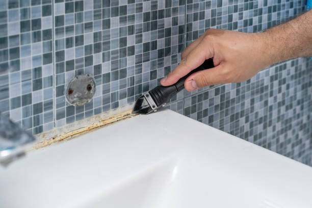 Trusted Monticello, IN Mold Removal Experts
