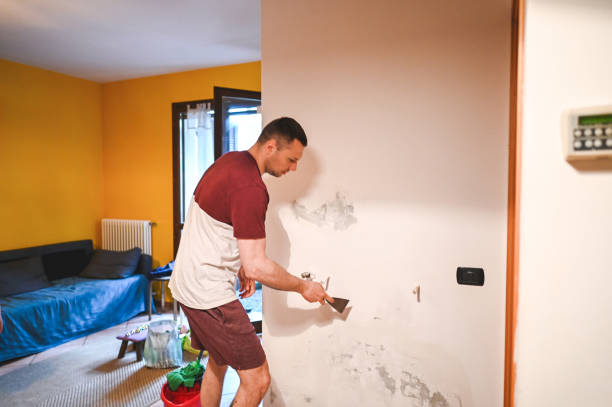 Best Mold Damage Repair  in Monticello, IN
